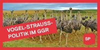 Vogel-Strauss-Politik im Gemeinderat